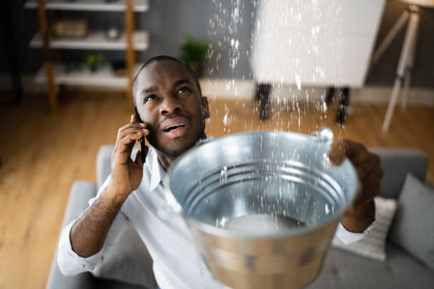 Best Flood restoration services  in Heritage Pines, FL