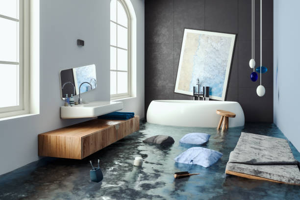 Best Mold removal after water damage  in Heritage Pines, FL