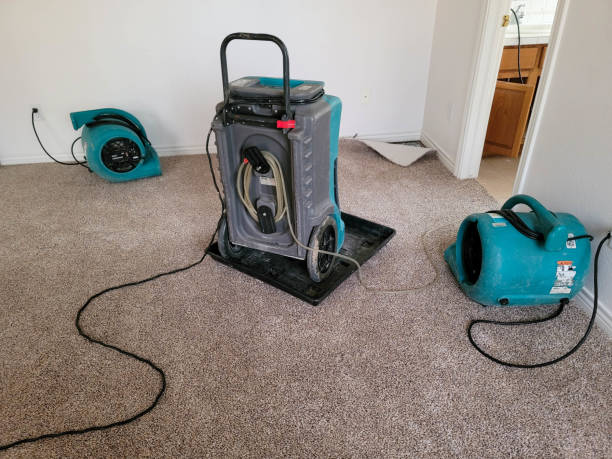 Best Water damage contractors near me  in Heritage Pines, FL
