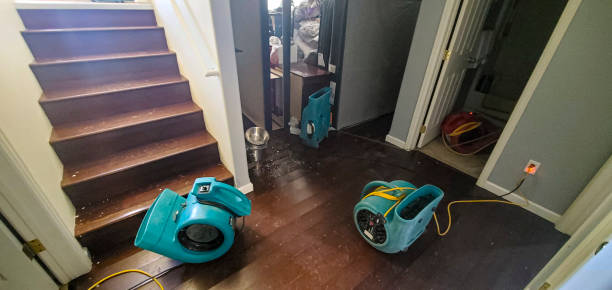 Best Water damage restoration services  in Heritage Pines, FL