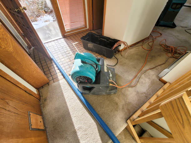 Best Water damage cleanup near me  in Heritage Pines, FL