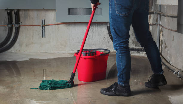 Best 24-hour water damage restoration  in Heritage Pines, FL