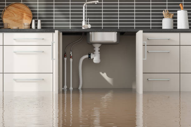 Best Water damage cleanup near me  in Heritage Pines, FL