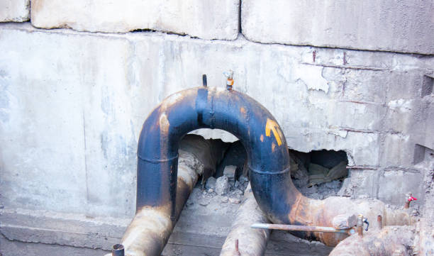 Best Professional water damage repair  in Heritage Pines, FL