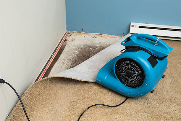 Best Water damage restoration near me  in Heritage Pines, FL